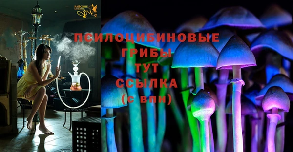 скорость Алексин
