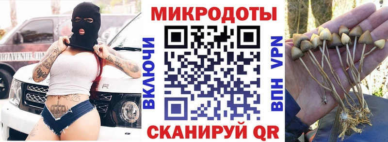 Псилоцибиновые грибы Magic Shrooms блэк спрут Артёмовск